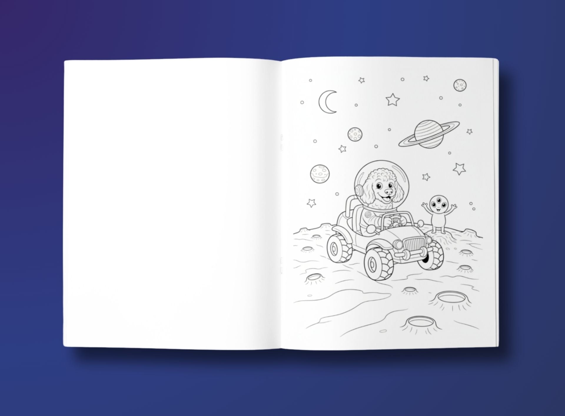 Adventures in Outer Space - PETS
