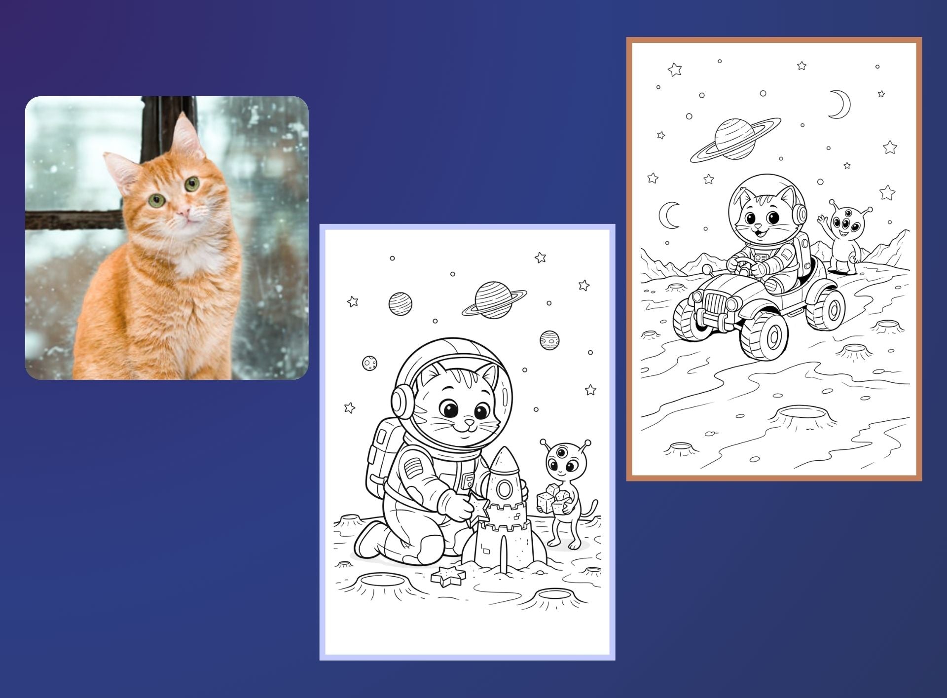 Adventures in Outer Space - PETS
