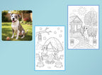 Summertime Fun - PETS