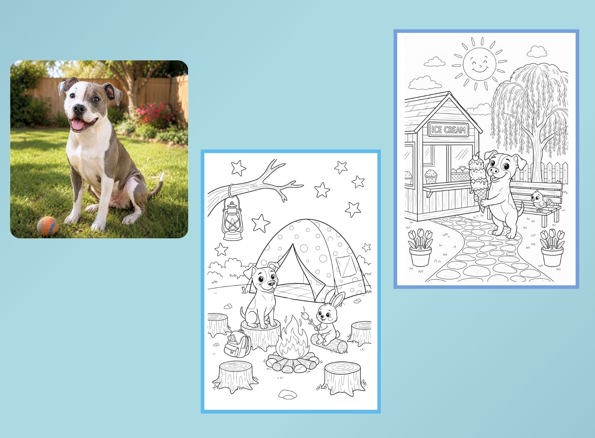 Summertime Fun - PETS