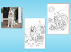 Goes to the Beach - PETS