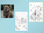 Summertime Fun - PETS