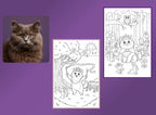 Once Upon a Time - PETS