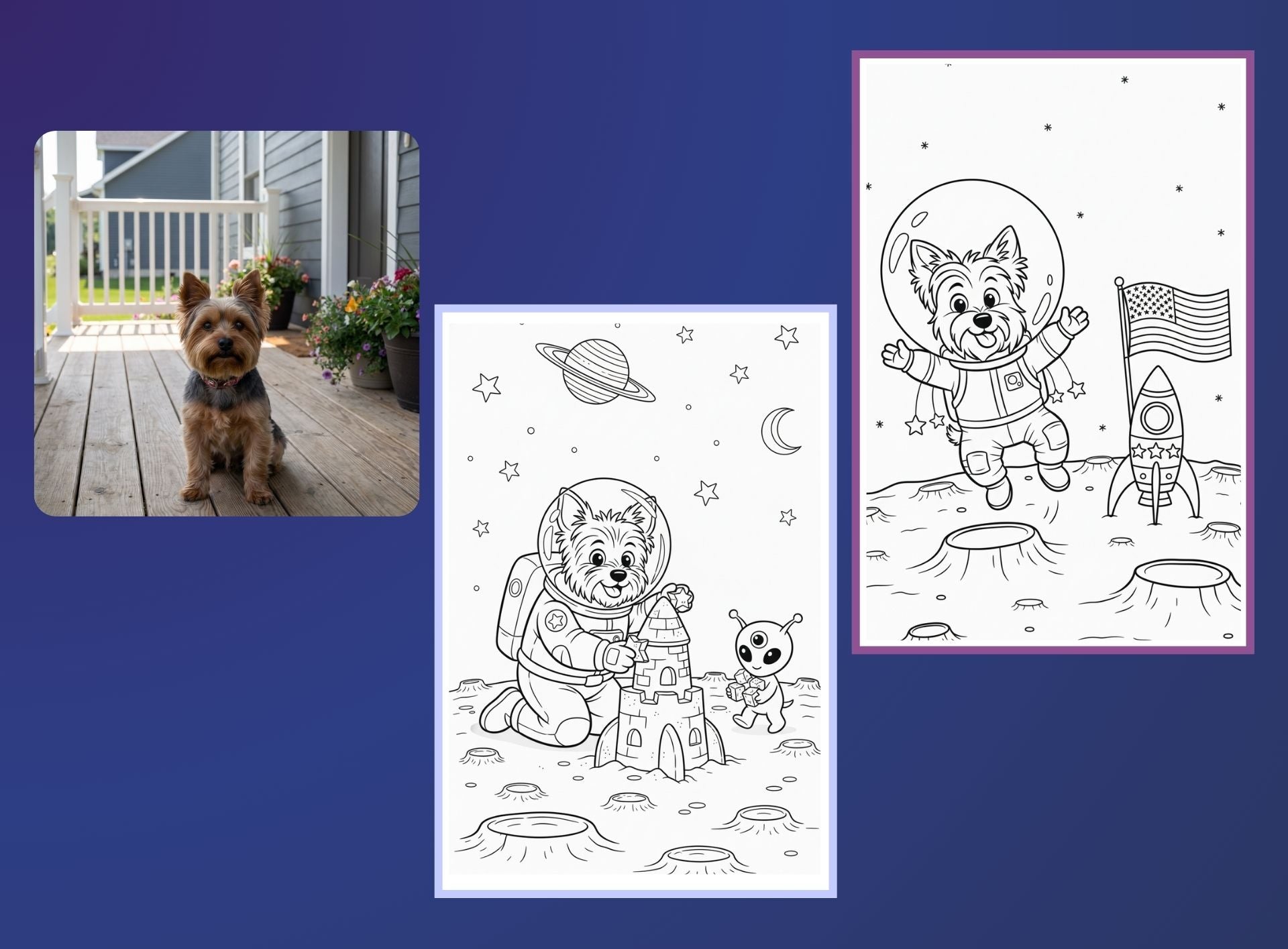 Adventures in Outer Space - PETS