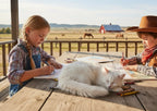 Western Days - PETS