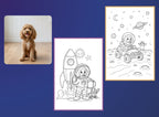 Adventures in Outer Space - PETS
