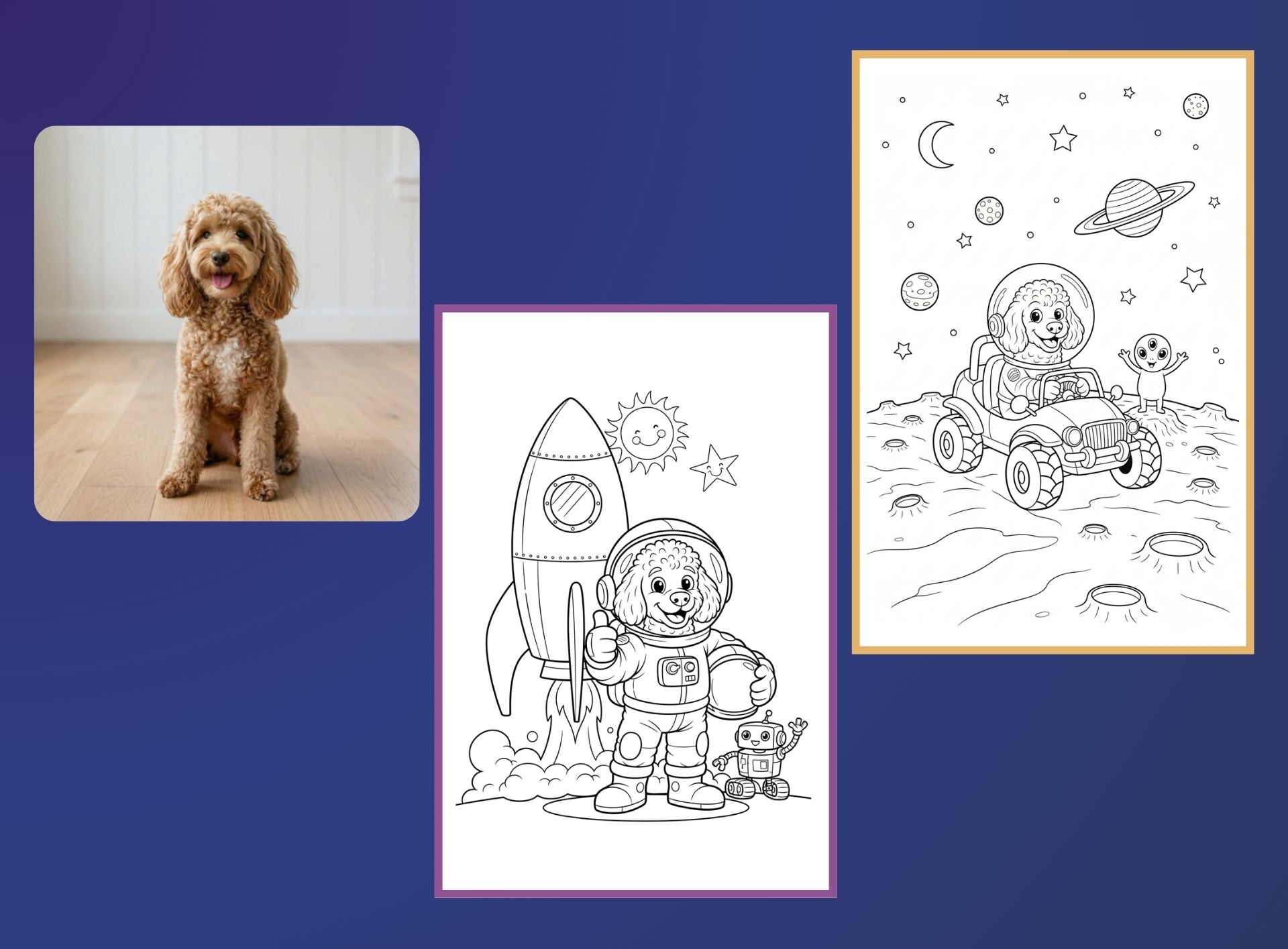 Adventures in Outer Space - PETS