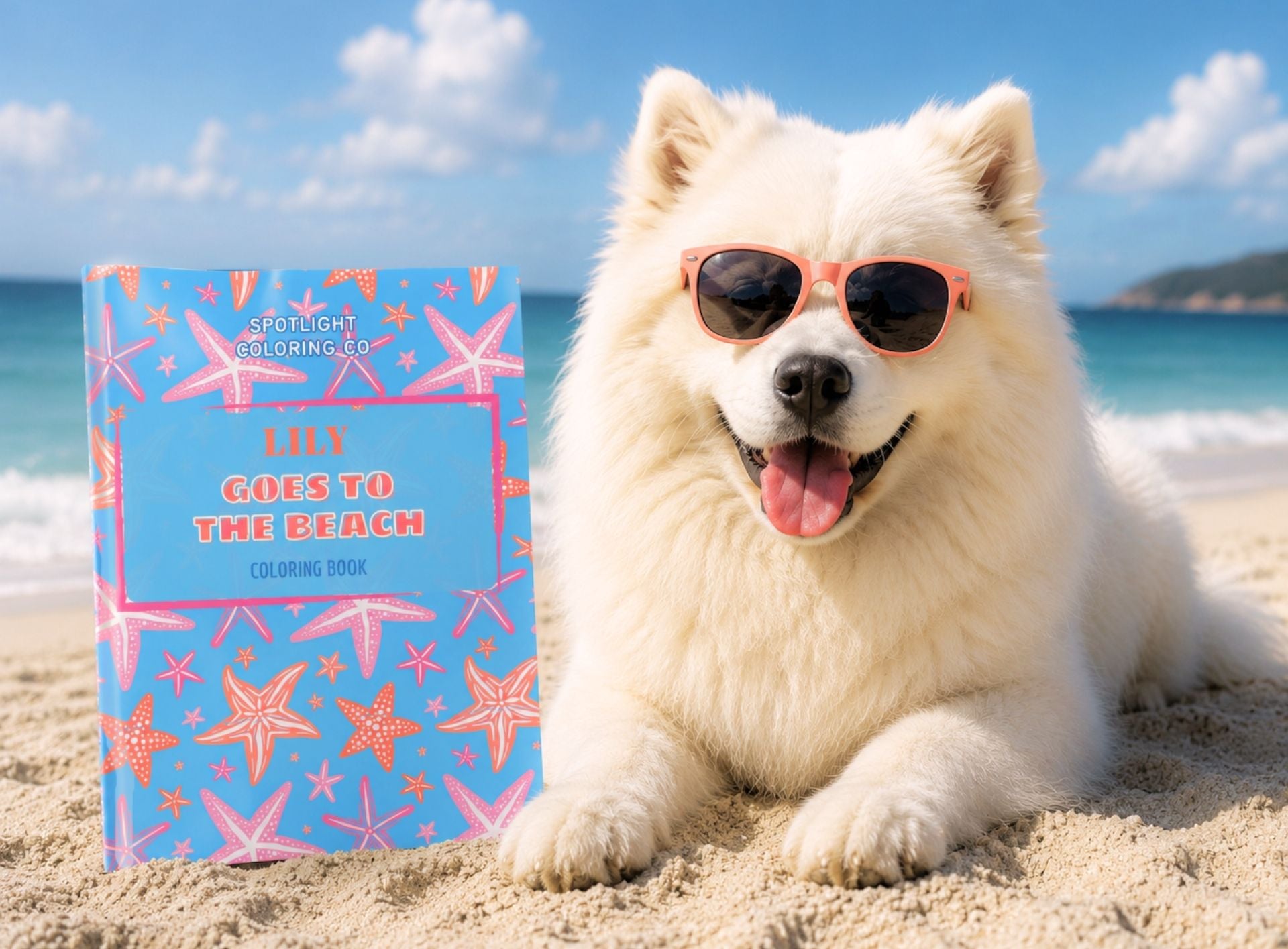 Goes to the Beach - PETS
