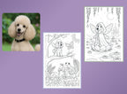Flowers & Fairies - PETS